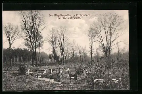 AK Frohnsdorf bei Treuenbrietzen, Die Nieplitzquellen