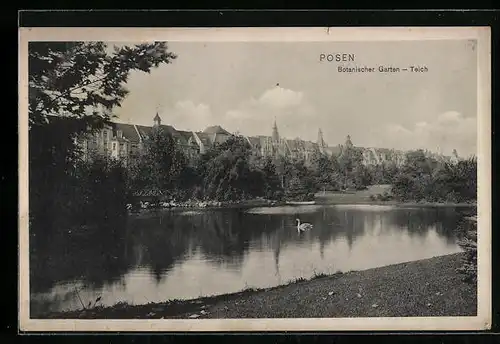 AK Posen, Botanischer Garten-Teich