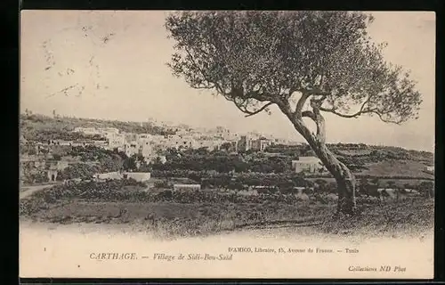 AK Carthage, Village de Sidi-Bou-Said