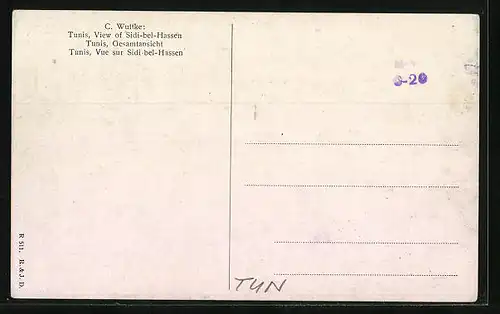 AK Tunis, Gesamtansicht aus der Vogelschau