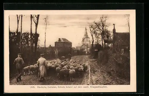 AK Deutsche Soldaten, Schafe hütend auf dem westl. Kriegsschauplatz