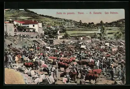 AK Teror / Gran Canaria, Feria de ganado