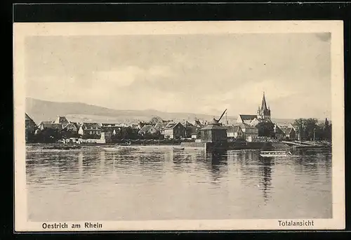 AK Oestrich / Rhein, Panorama