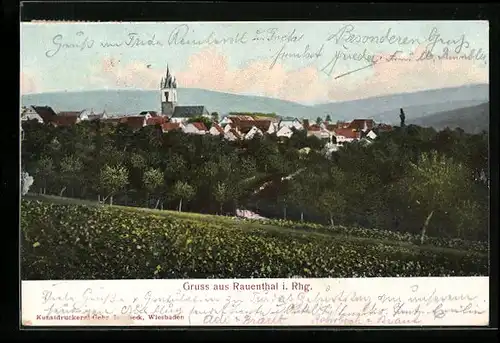 AK Rauenthal i. Rhg., Ortsansicht mit Kirche
