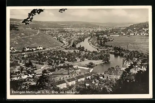 AK Esslingen-Mettingen a. N., Blick ins Neckartal