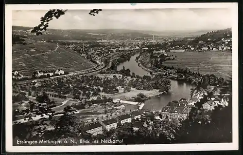 AK Esslingen-Mettingen a. N., Blick ins Neckartal