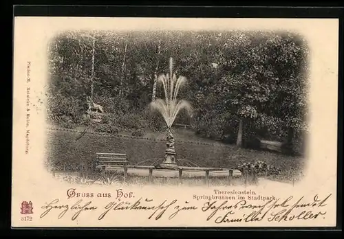 AK Hof / Saale, Theresienstein, Springbrunnen im Stadtpark