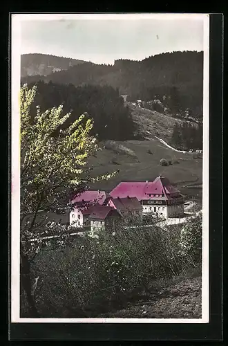 AK Lenzkirch / Schwarzwald, Hotel Hirschen
