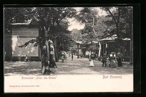 AK Bad Harzburg, Promenade Unter den Eichen