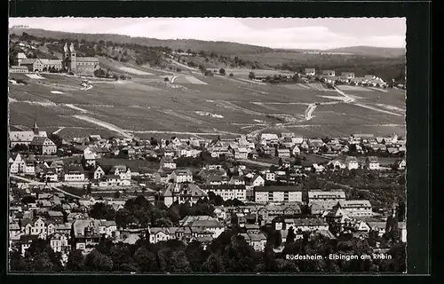 AK Rüdesheim-Eibingen a. Rh., Gesamtansicht mit Kirche