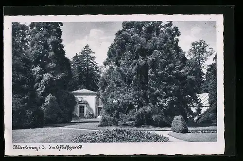 AK Oldenburg i. O., im Schlosspark