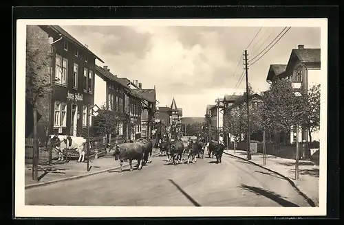 AK Oberhof i. Thür., Damenkapelle in der Zellaer Strasse