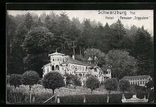 AK Schwarzburg in Thür., Hotel-Pension Trippstein