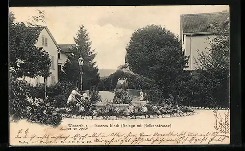 AK Winterthur, Inneres Lindt, Anlage mit Nelkenstrasse