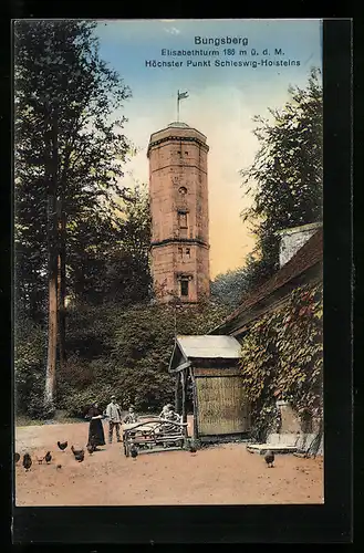 AK Schönwalde, Partie am Gasthaus und Turm Bungsberg