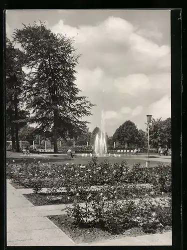 AK Berlin-Treptow, Rosengarten