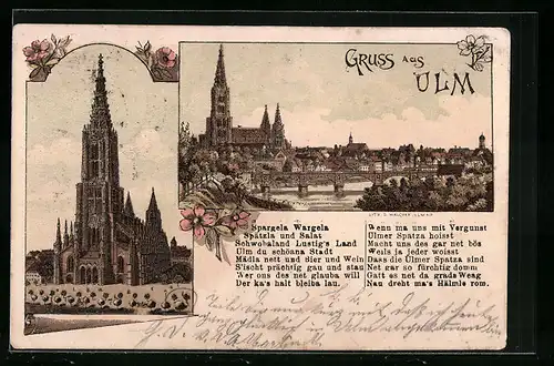 Lithographie Ulm, Panorama und Münster