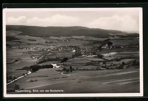 AK Weidenberg, Blick von der Bocksleite