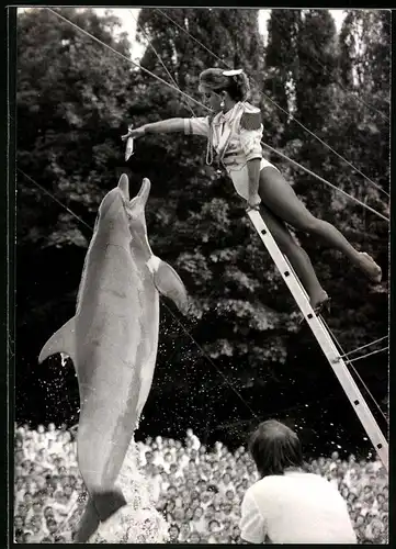 Fotografie Delfinarium, Tiertrainerin füttert Delfin im Sprung