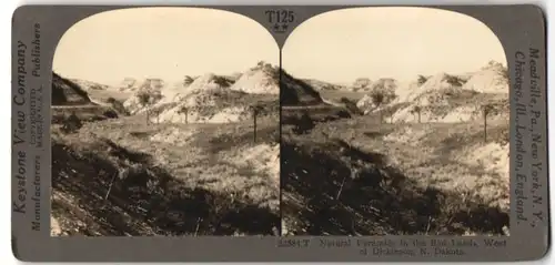 Stereo-Fotografie Keystone View Co., Meadville / PA., Ansicht Dickinson / ND, natural Pyramids in the Bad Lands