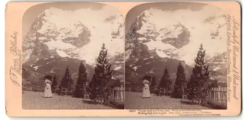 Stereo-Fotografie J. F. Jarvis, Washington D.C., Ansicht Weitnau, Blick nach dem Eiger und Mönch von den Wangern Alpen