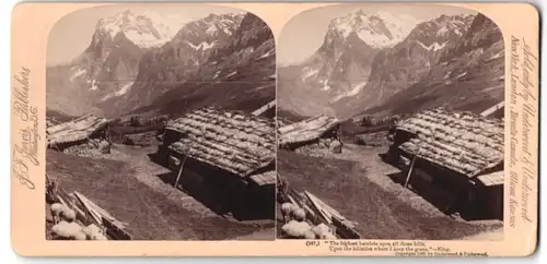 Stereo-Fotografie J. F. Jarvis, Washington D.C., Ansicht Scheidegg, Blick in das Grindelwaldthal mit Wetterhorn