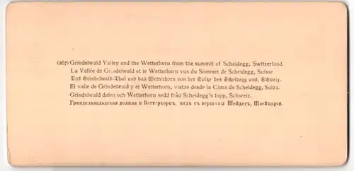 Stereo-Fotografie J. F. Jarvis, Washington D.C., Ansicht Scheidegg, Blick in das Grindelwaldthal mit Wetterhorn