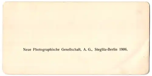 Stereo-Fotografie NPG, Berlin, Ansicht Interlaken, Les jardins des Hotel sur le Höhenweg
