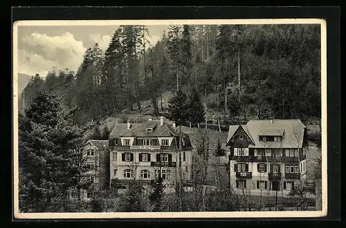 AK Herrenalb-Schwarzwald, Pension Mariahall von F. Böhrer