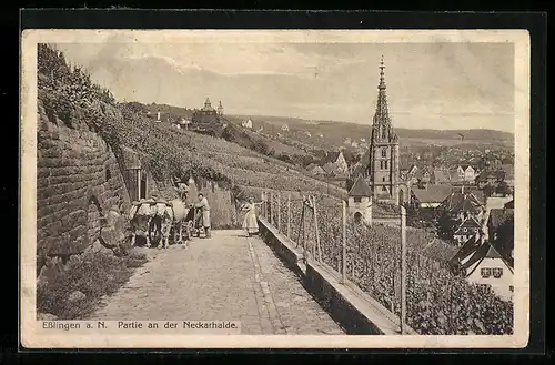 AK Esslingen a. N., Partie an der Neckarhalde mit Kirche