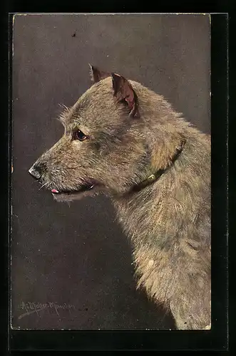 Künstler-AK August Müller - München: Hund im Seitenprofil