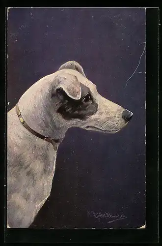 Künstler-AK August Müller - München: Jagdhund auf Wacht