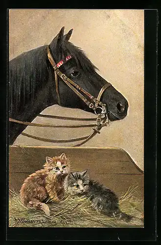 Künstler-AK August Müller - München: Pferd mit Katzen