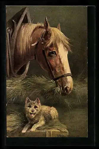 AK Pferd mit Wagengeschirr und Hund