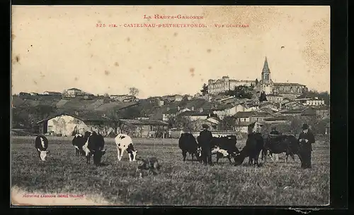 AK Castelnau-d`Estretefonds, Vue générale