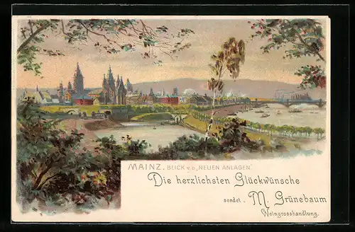 Lithographie Mainz, Blick von den Neuen Anlagen
