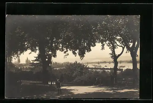 AK Mainz, Festpostkarte der Deutschen Rosenschau 1925 und der Rheinischen Festwoche, Ortspartie