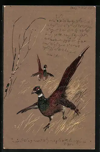 Künstler-AK Arthur Heyer: Zwei Fasane laufen über eine Wiese