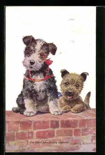 Künstler-AK sign. F. E. Valter: Zwei kleine Terrier auf einer Mauer
