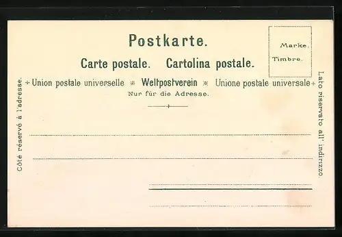 Künstler-AK C. Steinmann Nr. 2083: Rigi-Kulm, Panorama bei Sonnenaufgang