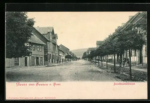 AK Seesen / Harz, Sicht in die Jacobsonstrasse