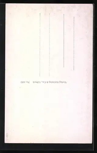 AK Neubrandenburg, Wickhäuser an der Stadtmauer