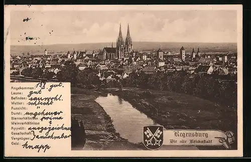 AK Regensburg, Blick auf die Stadt