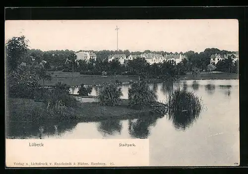 AK Lübeck, Blick auf den Stadtpark
