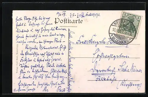 AK Neuenburg i. Old., Blick auf das Schloss