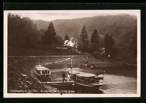 AK Gemünd /Eifel, Urfttalsperre, Waldhotel