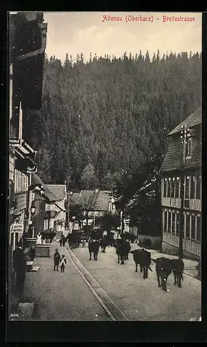 AK Altenau / Oberharz, Breitestrasse mit Zigarrengeschäft und Rinderherde