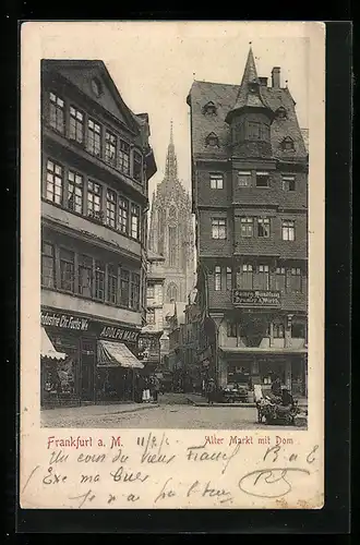 AK Alt-Frankfurt, Alter Markt mit Dom