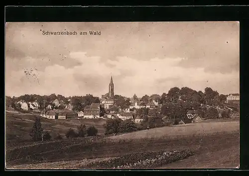 AK Schwarzenbach / Wald, Gesamtansicht