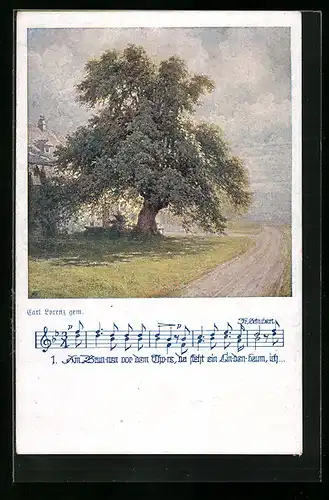 AK Deutscher Schulverein Nr. 904: alter Baum am Feldweg, Noten- und Textzeile
